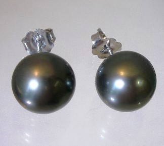 Tahitian Pearl Studs