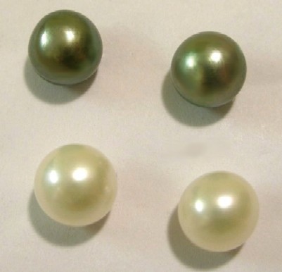 Pearl Stud Earrings